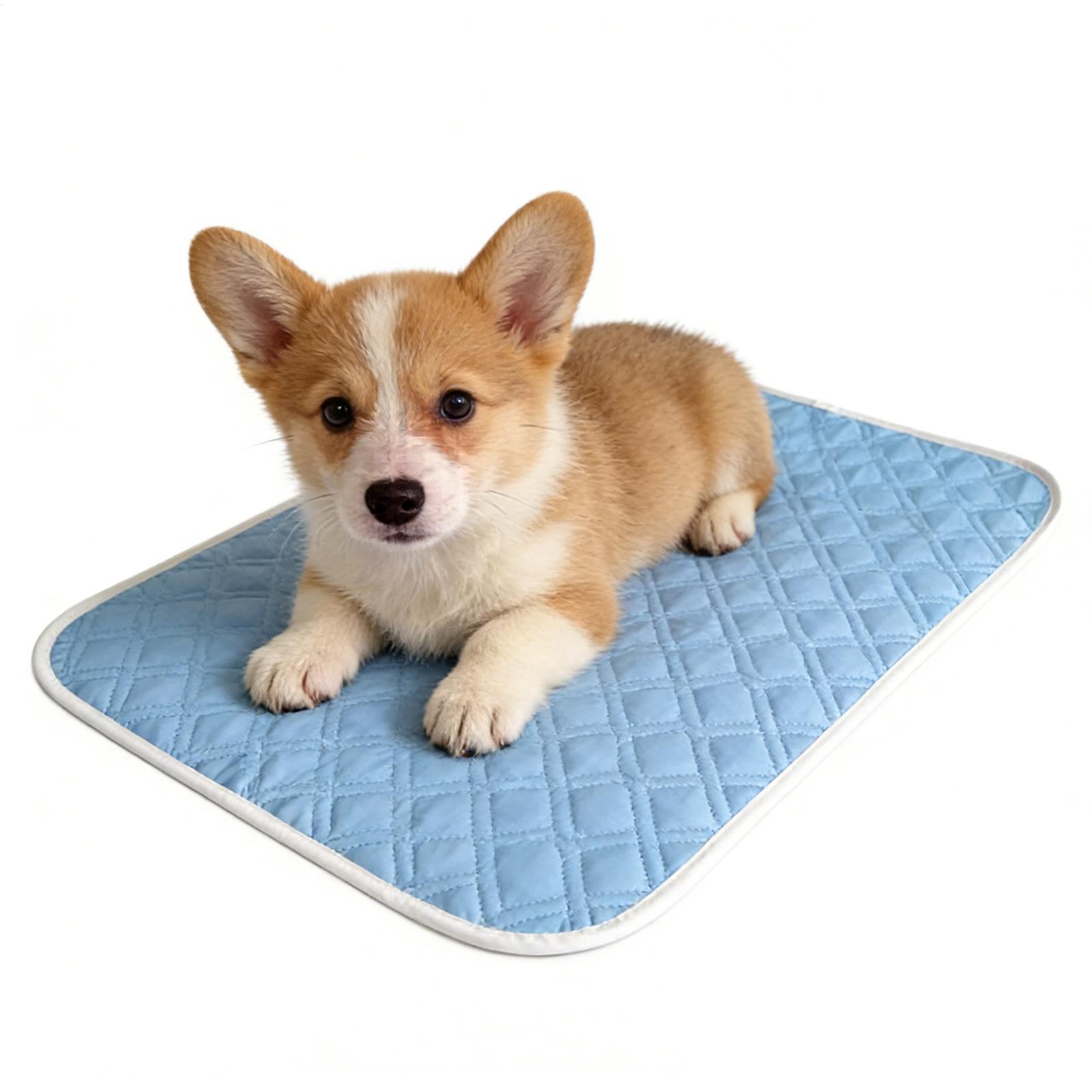 Pet Supplies Self Wash - 35x45cm Yazlık Evcil Hayvan Matı Soğutucu