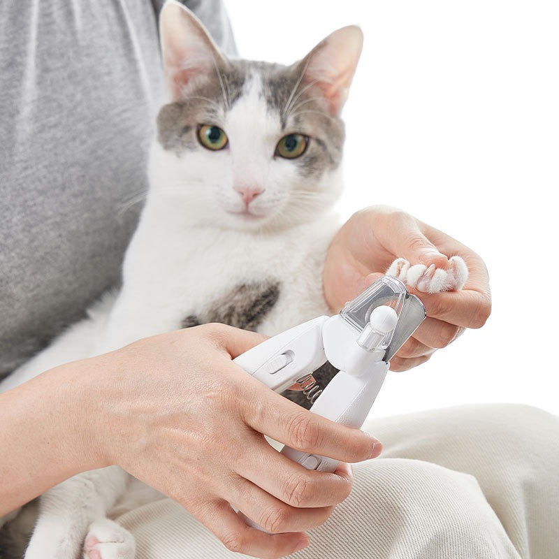 PETKIT Saç Kesme Makinesi Köpe - Pet Supplies Grooming Hours incelemesi ve fiyatı
