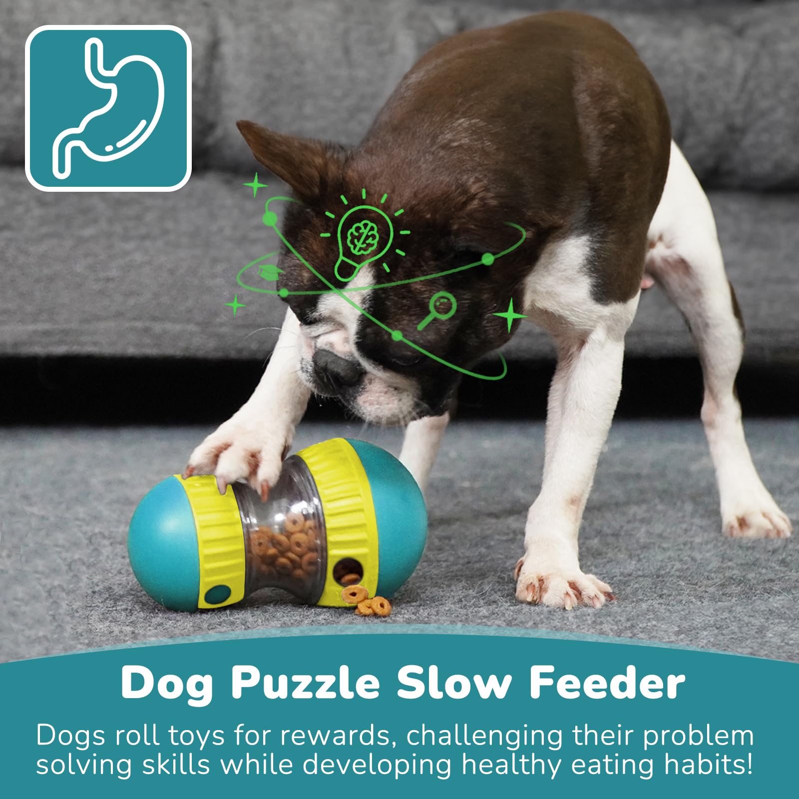 Köpek Oyuncakları ve Ayarlanab - Dog Treat Puzzle Toy incelemesi ve fiyatı