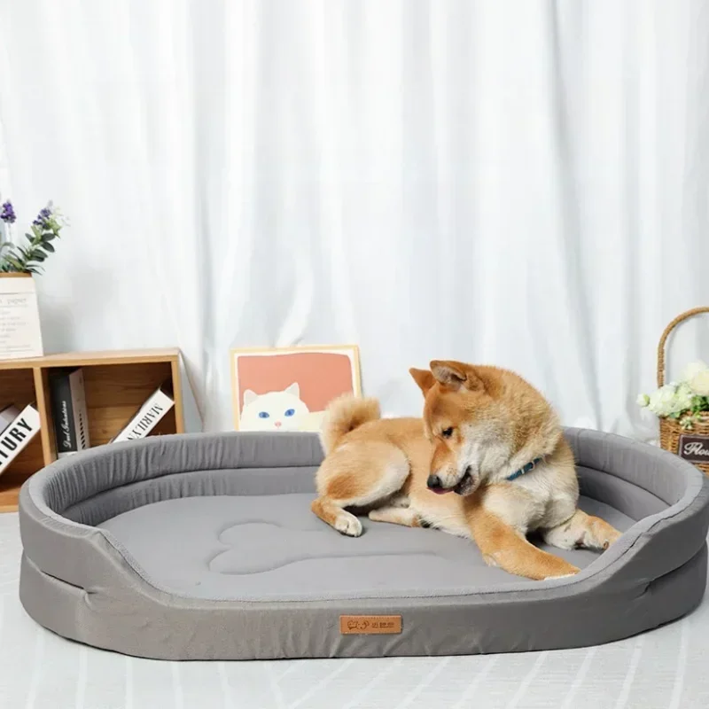 Kabuklu Evcil Hayvanlar İçin Y - Pet Supplies Plus incelemesi ve fiyatı