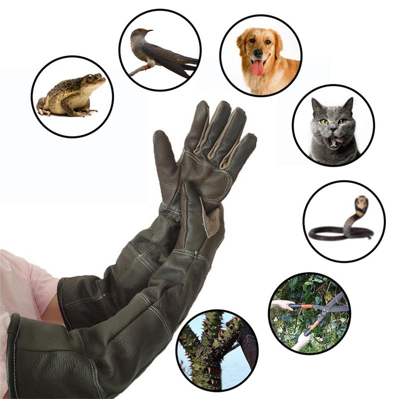 Pet eldiven inek derisi deri a - Pet Grooming Glove incelemesi ve fiyatı