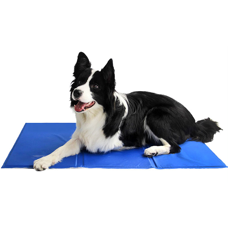 Evcil Köpek Soğutma Matı Yazlı - Pet Supplies Self Wash incelemesi ve fiyatı