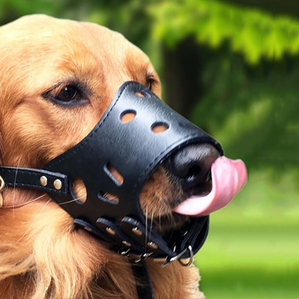 Anti-ısırma Güvenli Anti Bark  - Pet Supplies Plus incelemesi ve fiyatı
