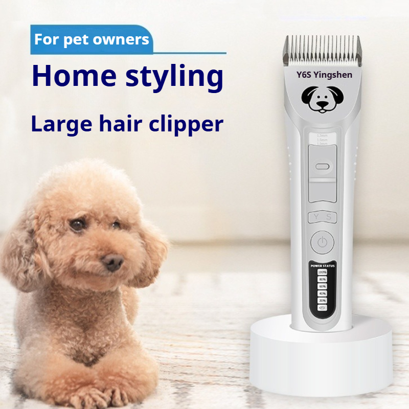 Professionnel Köpek Teddy Pet  - Pet Supplies Grooming Hours incelemesi ve fiyatı