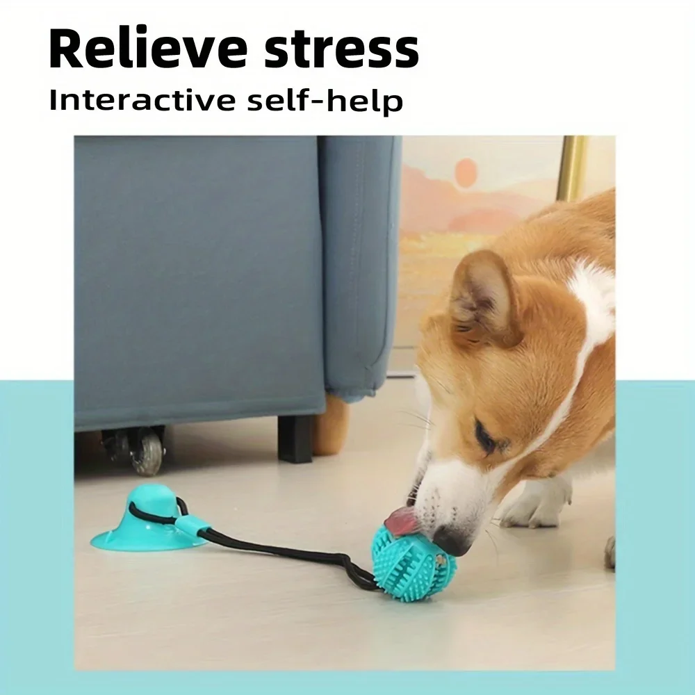 Ses ve Yiyecek Sızıntısı ile İ - Dog Treat Puzzle Toy incelemesi ve fiyatı