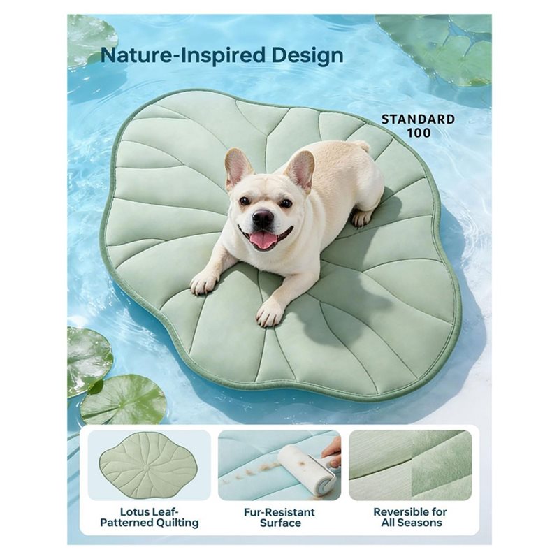 ABAE-Summer 2.0 Köpek Soğutma  - Pet Supplies Self Wash incelemesi ve fiyatı
