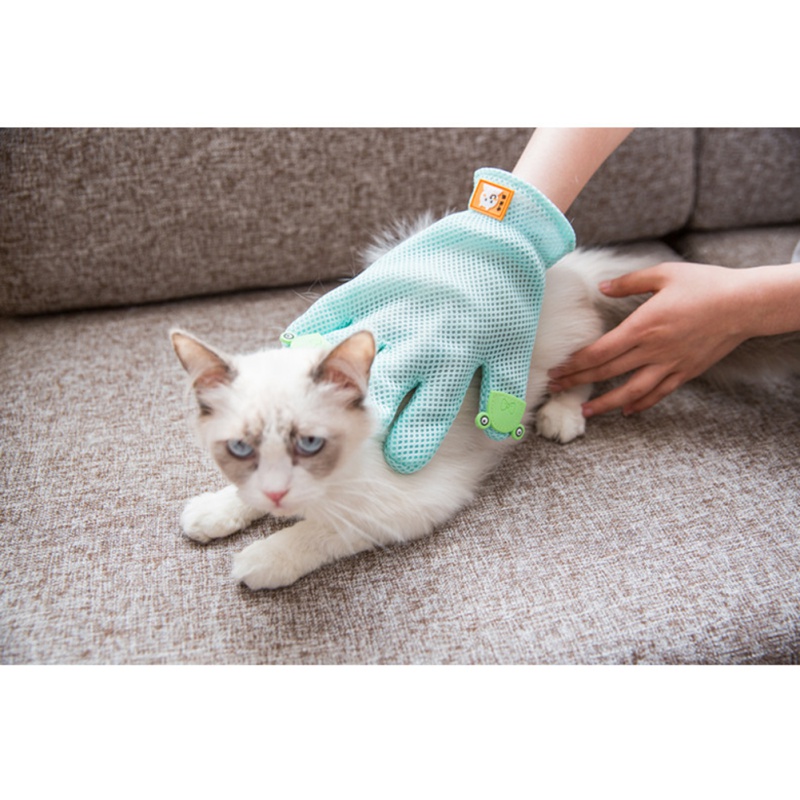 Pet bakım eldiven, dedefırça,  - Pet Grooming Glove incelemesi ve fiyatı
