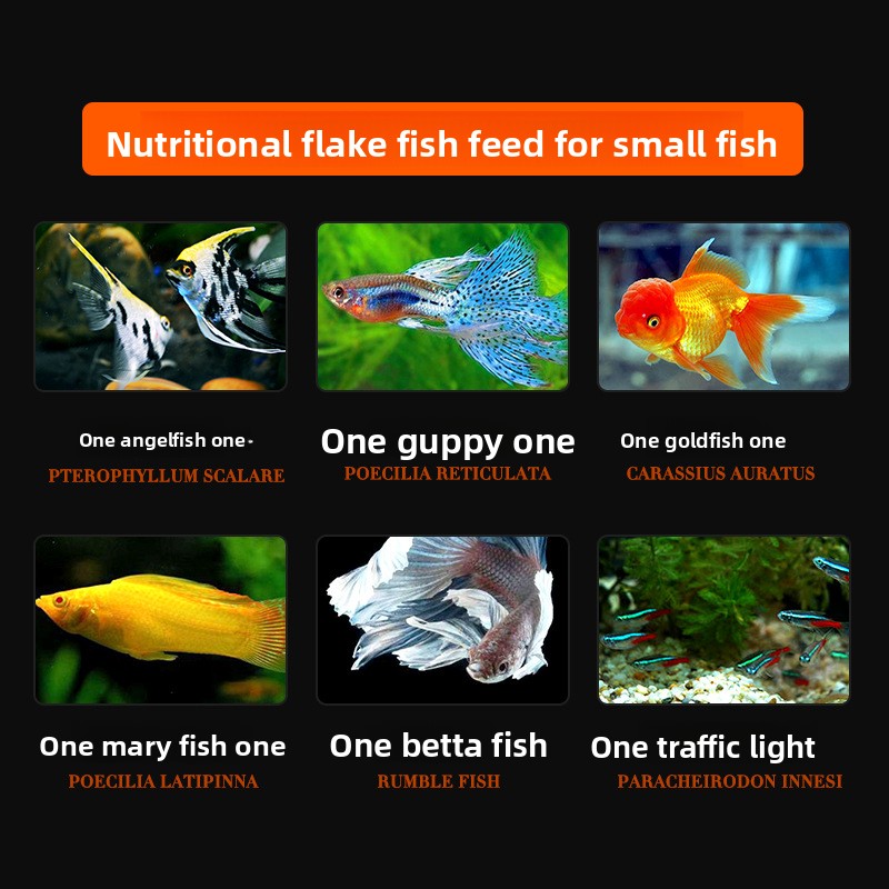 DaJiaWa Spirulina Pul Balık Ye - Tetra Food Betta Flakes incelemesi ve fiyatı