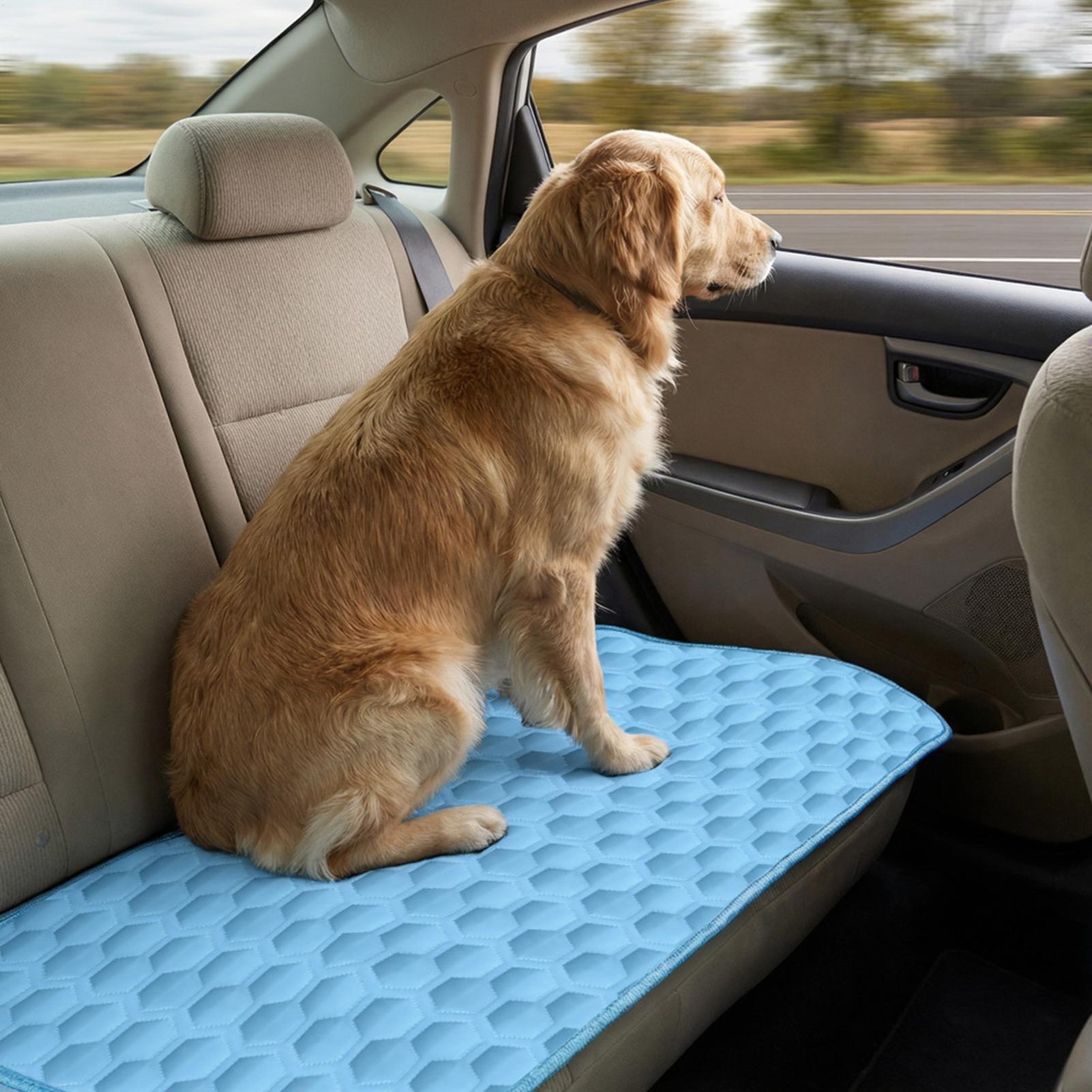 Yazlık Evcil Hayvan Matı Soğut - Pet Supplies Self Wash incelemesi ve fiyatı