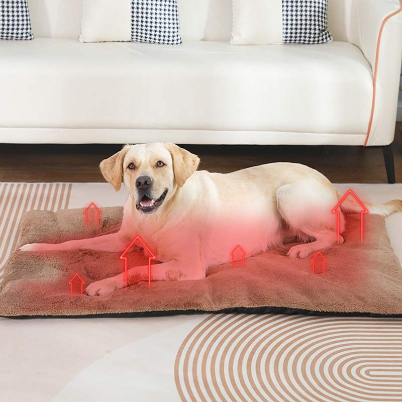 Kendiliğinden Isınan Evcil Hay - Pet Supplies Self Wash incelemesi ve fiyatı